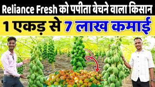 Reliance Fresh को पपीता बेचकर 7 लाख प्रति एकड़ कमाई // Papita ki Kheti Papaya Farming Information