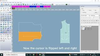 Richpeace Garment CAD V10.0--Pattern Flip Tool