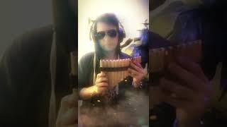 Dune: Part Two - A Time of Quiet Between the Storms by Hans Zimmer | Pan Flute/Tin Whistle Cover