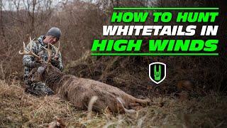 HOW TO HUNT WHITETAIL DEER IN HIGH WINDS