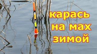 Ловля карася на удочку по холодной воде. Рыбалка на карася в конце зимы. Маховая удочка зимой