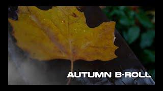 Autumn B-Roll