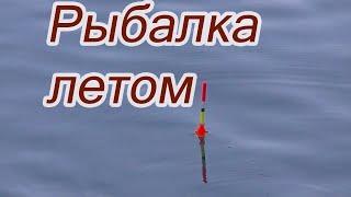 Рыбалка в середине июля 2021 на реке.Ловля рыбы на поплавок.