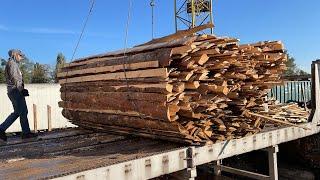 Determined Lady: From Debarking to High-Quality Lumber.