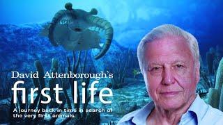 First Life with David Attenborough - Ep 2 Conquest (2010)