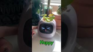 Meet PLANTSIO: A Very Moody AI Robot. 