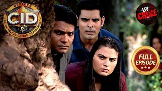 CID और Wasai Waterfall का ख़तरनाक हादसा | CID | सी.आई.डी. | Latest Episode | 14 Nov 2024