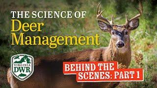 Behind the Scenes: The Science Behind Virginia's Deer Management Part I