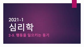 2-05. 동기 (내적동기, 외적동기, 일차적 동기) [시험 l 요약 l 레포트 l 과제]