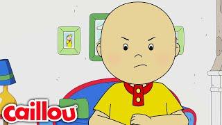 Caillou and the Bunny | Caillou - WildBrain | Learning for Kids