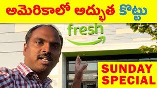  USA Telugu Vlogs