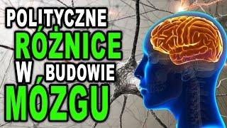 Polityczne różnice w budowie mózgu | myMind #9 ( Kamil Cebulski )