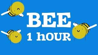 Bee.  |  1 Hour Loop 