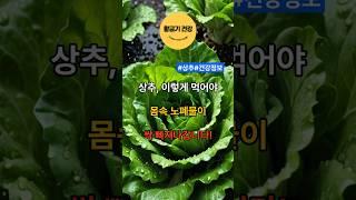 상추,이렇게 먹어야 몸속 노폐물이 싹 빠져나갑니다! #shorts #건강 #건강정보 #상추 #노폐물