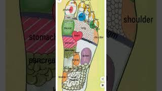 Foot Reflexology
