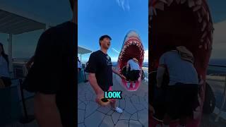 Japan Trip Turns Wild as Guy Slides Down a Huge Dragon Slide