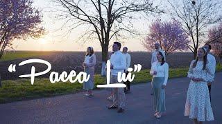 "Pacea Lui"  Eldad / OFFICIAL VIDEO 2024 / Misiunea Eldad