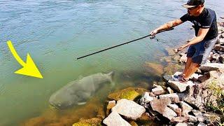 INSANE MONSTER FISH behind MASSIVE SPILLWAY!!!