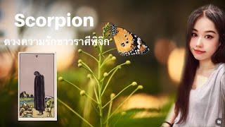 ️ Scorpio ความรักราศีพิจิก(พ.ย.- มี.ค. 68) ลุ้นการทำภารกิจ ตัดด้ายแดงคนรักเก่า