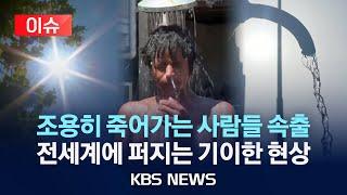 [이슈] '폭염 한 달 더' 세계 인구 절반이 한 달 이상 '추가 폭염' 겪어/2025년 6월 18일(수)/KBS