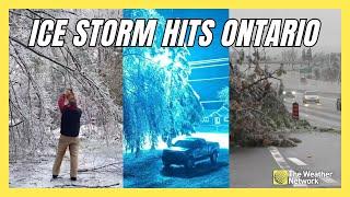 See the Ice-Coated Result of Ontario’s Weekend of Freezing Rain