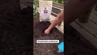 цветочный Рай