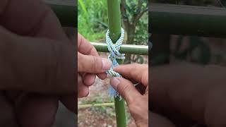 Clever rope tying techniques #Demo