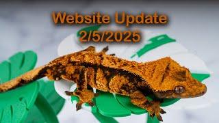 Geckos For Sale!! February 5th 2025