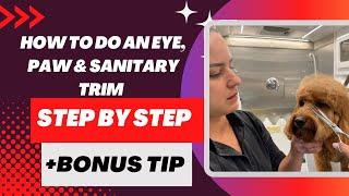 HOW TO DO AN EYE, PAW, AND SANITARY TRIM ON YOUR DOG + BONUS TIP 