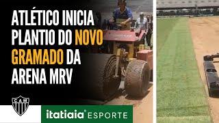 ATLÉTICO INICIA PLANTIO DO NOVO GRAMADO DA ARENA MRV PARA A FINAL DA COPA DO BRASIL