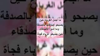 حكم وامثال وكلام جميل...عن الأصدقاء في الحياة..ولله الشكر