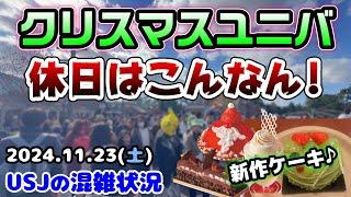 【USJクリスマス開幕後のパークはこうでした‼︎】人いっぱいだけど...休日のユニバまとめ‼︎ビバリーヒルズブランジェリーのケーキご紹介2024年11月23日、ユニバーサルスタジオジャパンの混雑状況