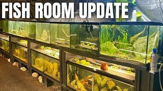 THE FISH ROOM IS COMING BACK TO LIFE | FISH ROOM UPDATE