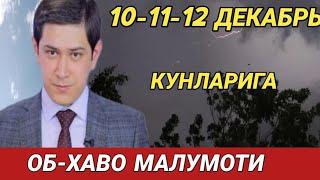 10-11-12 ДЕКАБРЬ КУНЛАРИ УЧУН ОБ ХАВО МАЛУМОТИ, ob havo.