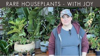 Let's Talk Rare Houseplants 2021  Houseplant Guru Joy at The Gardener's Center