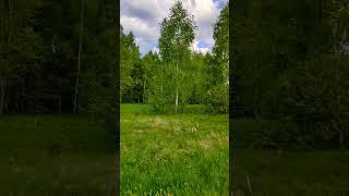 Дачный сезон открыт..Калужская область.
