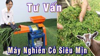 Máy Băm Nghiền Cỏ Siêu Mịn C300 Cho Dê Tư Vấn Cùng Thu Ngân Bình Quân