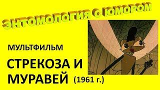 Мультфильм "Стрекоза и муравей" (1961 г.)