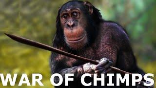 The War between Chimpanzees that lasts 4 years | The Gombe Chimpanzee War || HeisenbergJr.