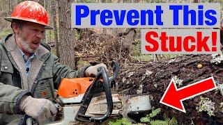 Avoid Getting Your Chainsaw Stuck With This Simple Hack