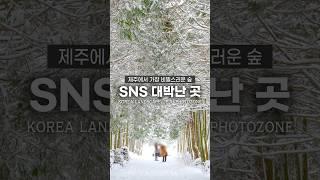 SNS에서 대박 났던 제주도 숨은 명소