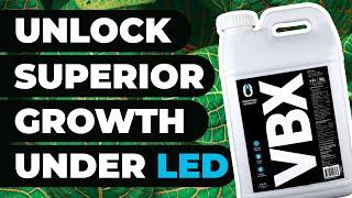 Unlock Superior Growth with VEG+BLOOM VBX: Your 2-in-1 Soluble Plant Food & Probiotic with LED's