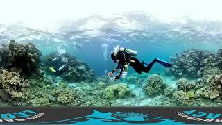 LaCie I A 360° View of the Great Barrier Reef