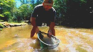 Exploro ríos y recolecto peces para pecera gigante. pesca urbana y acuario urbano