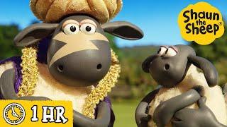 Shaun the Sheep  Timmy's GIANT Pizza Wish & MORE  Full Episodes Compilation