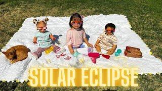 FUNNY Reborn Doll Solar Eclipse Picnic | April 8, 2024 #reborn #rebornroleplay #roleplaying