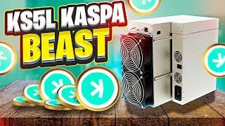 KASPA BEAST MODE!! KS5L - THX Red Panda Mining