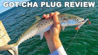 Got-Cha Fishing Lure Review: Is This The Best Plug For Pier Fishing?