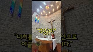 DJ Bene 신부님 복음 묵상글 #복음묵상 #부산교구 #금곡성당