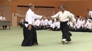 South Africa  - 11th International Aikido Federation Congress in Tokyo - Demonstrations